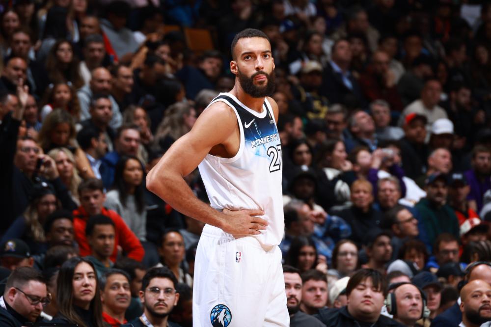 供了新的可 供了新的可